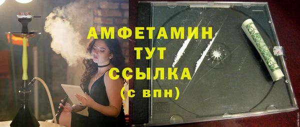 ГАЛЛЮЦИНОГЕННЫЕ ГРИБЫ Горняк