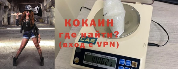 ешки Гусев