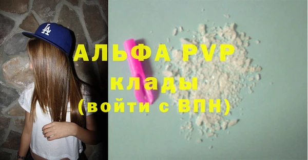 СК Горнозаводск