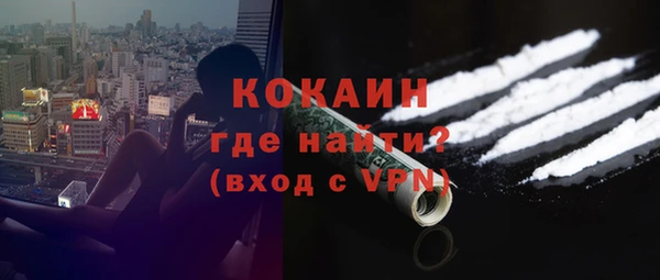 ешки Гусев