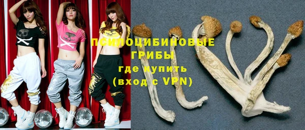 ГАЛЛЮЦИНОГЕННЫЕ ГРИБЫ Горняк