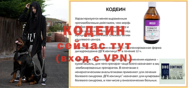 СК Горнозаводск