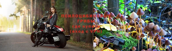 ГАЛЛЮЦИНОГЕННЫЕ ГРИБЫ Горняк