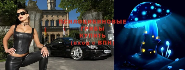 метадон Гусь-Хрустальный