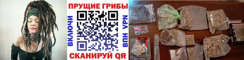 дарнет шоп Десногорск Псилоцибиновые грибы Psilocybine cubensis