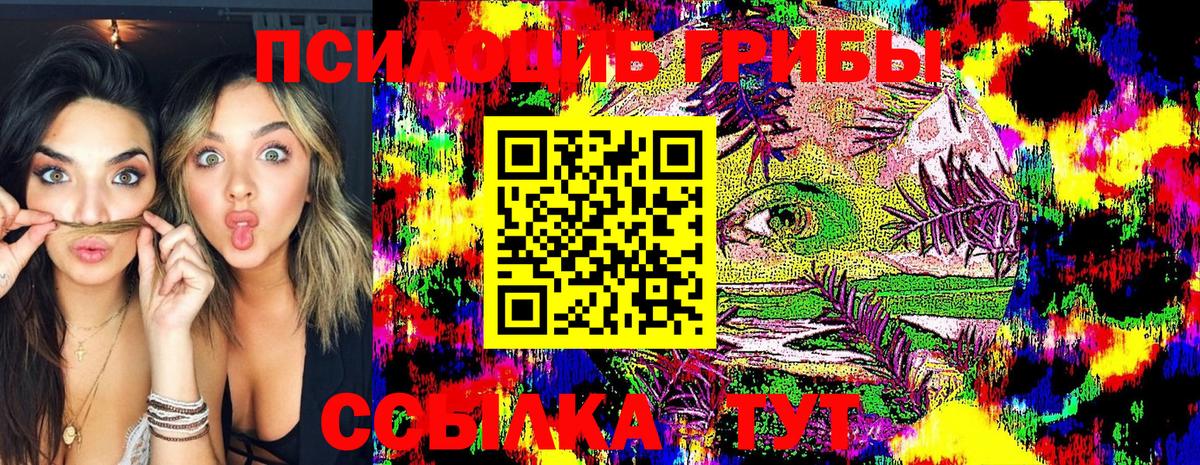 Псилоцибиновые грибы мицелий  Десногорск 