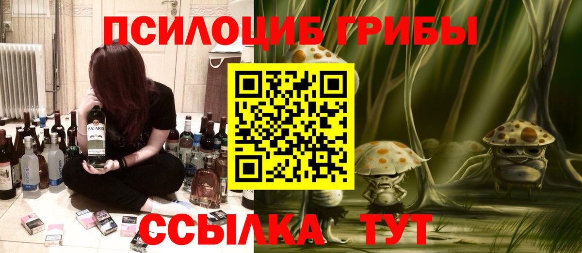 Десногорск  Галлюциногенные грибы мухоморы  Вход с VPN 