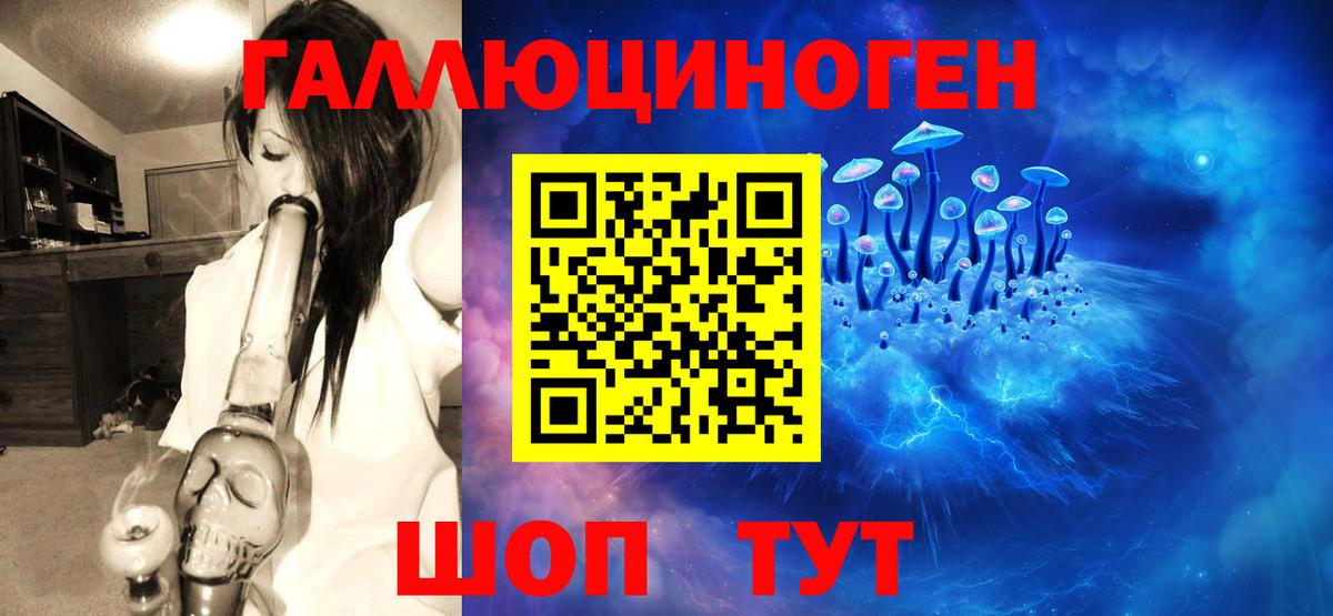 Псилоцибиновые грибы GOLDEN TEACHER Десногорск